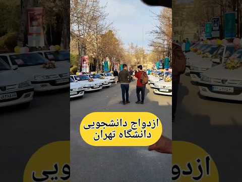چرا ازدواج های دانشجویی معمولا به شکست می انجامد
